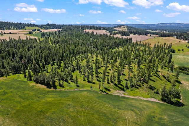 20141 N Bernhill Rd, Colbert, WA 99005 - photo 6
