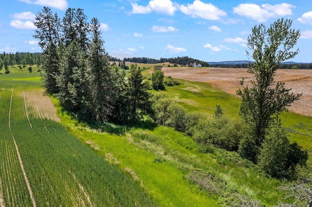 20141 N Bernhill Rd, Colbert, WA 99005 - photo 9
