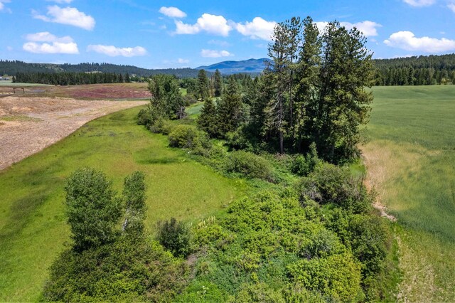 20141 N Bernhill Rd, Colbert, WA 99005 - photo 10