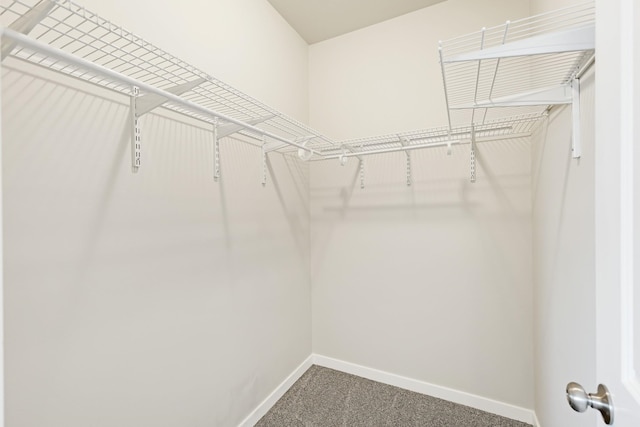 723 S Hatch St, Spokane, WA 99202 - walk in closet featuring carpet flooring