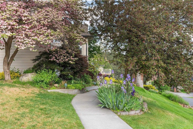 8904 E Boardwalk Ln, Spokane, WA 99212 - view of green lawn