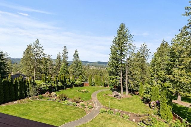 14716 E 48th Ln, Veradale, WA 99037 - view of green lawn featuring a wooded view