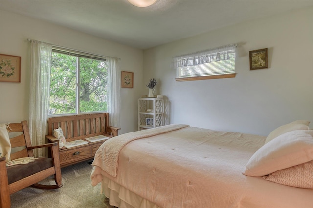 4307 S Apollo St, Spokane, WA 99223 - view of carpeted bedroom