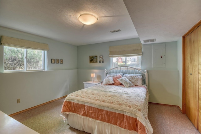 4307 S Apollo St, Spokane, WA 99223 - bedroom with multiple windows, light carpet, electric panel, and a textured ceiling