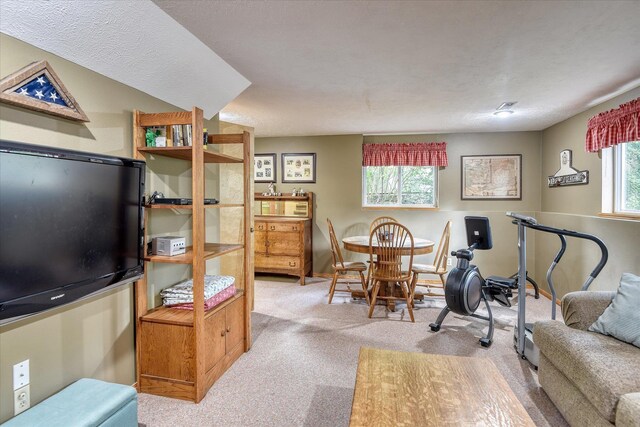 4307 S Apollo St, Spokane, WA 99223 - view of carpeted living room