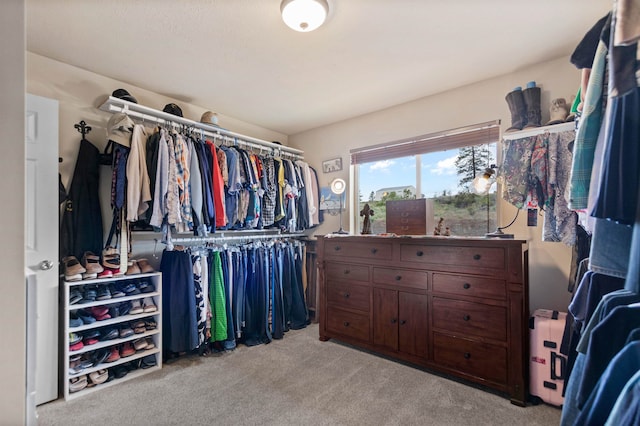 14410 W Jacobs Rd, Spokane, WA 99224 - spacious closet featuring light carpet