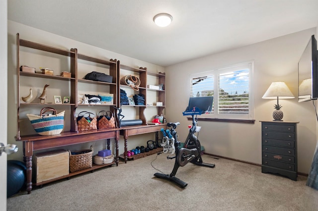 14410 W Jacobs Rd, Spokane, WA 99224 - workout area with carpet and baseboards