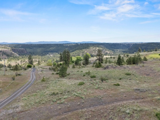 14410 W Jacobs Rd, Spokane, WA 99224 - view of mountain background