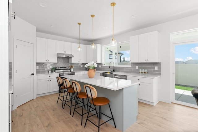 2077 W Walker Ave, Spokane, WA 99208 - kitchen featuring under cabinet range hood, a kitchen bar, a sink, light wood-type flooring, and recessed lighting