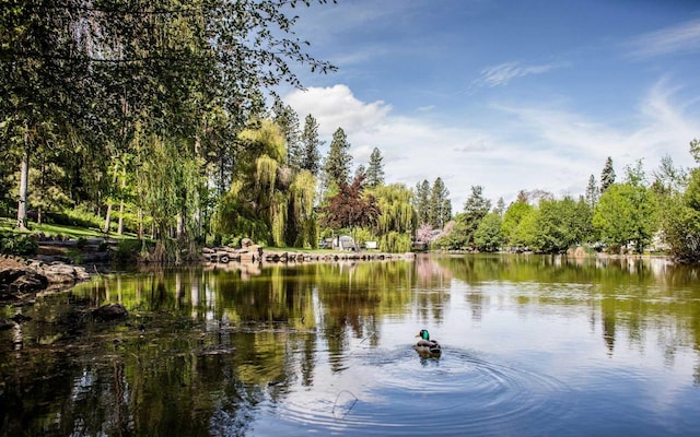 417 W 26th Ave, Spokane, WA 99203 - water view