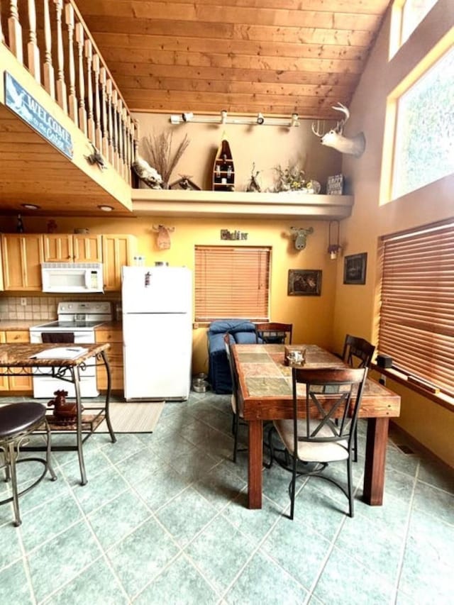 278 Hazel St, Cusick, WA 99119 - tiled dining area with high vaulted ceiling