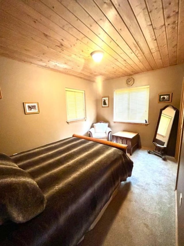 278 Hazel St, Cusick, WA 99119 - bedroom featuring wood ceiling and carpet floors