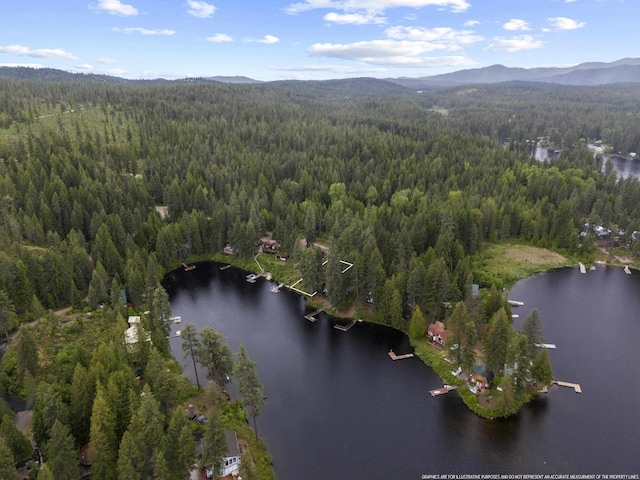 342 Bayview Rd, Newport, WA 99156