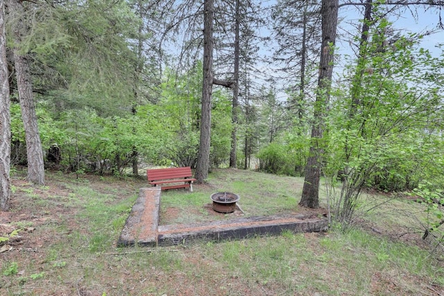 4134 Pebble Beach Rd, Loon Lake, WA 99148 - view of yard featuring an outdoor fire pit