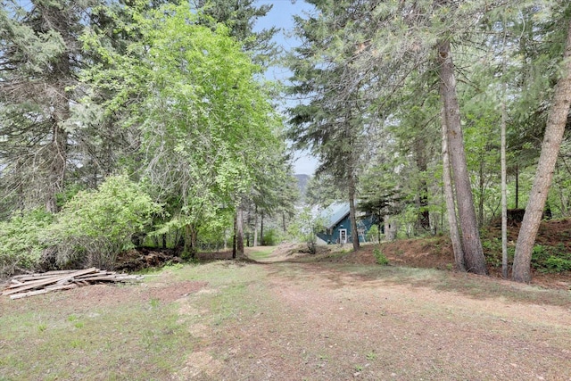 4134 Pebble Beach Rd, Loon Lake, WA 99148 - view of yard
