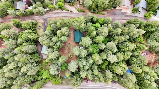 4134 Pebble Beach Rd, Loon Lake, WA 99148 - aerial view of property's location