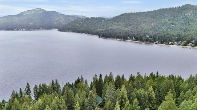 4134 Pebble Beach Rd, Loon Lake, WA 99148 - water view featuring a forest and a mountainous background