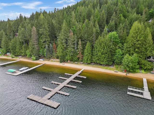 4134 Pebble Beach Rd, Loon Lake, WA 99148 - exterior space with a water view and a view of trees