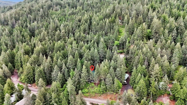 4134 Pebble Beach Rd, Loon Lake, WA 99148 - drone / aerial view of a forest