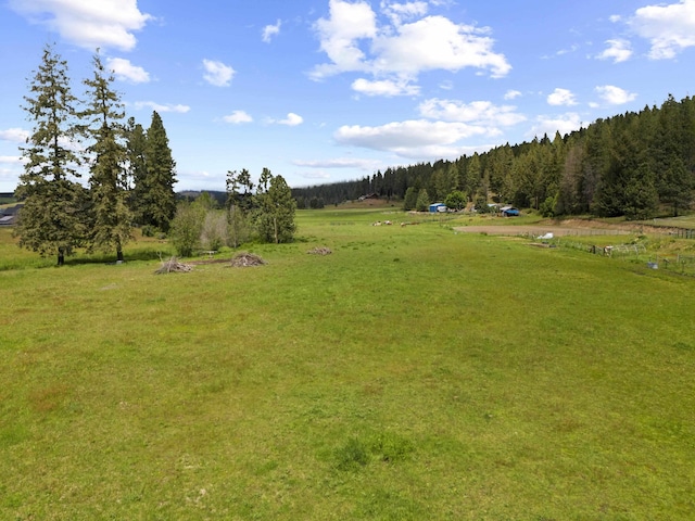 15906 N Forker Rd, Spokane, WA 99217 - view of green lawn with a forest view and a rural view