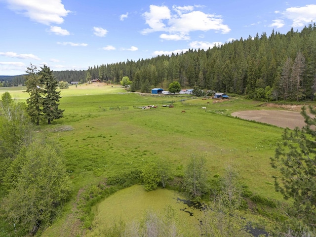 15906 N Forker Rd, Spokane, WA 99217 - view of rural area featuring a heavily wooded area
