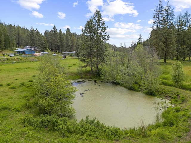 15906 N Forker Rd, Spokane, WA 99217 - water view with a forest