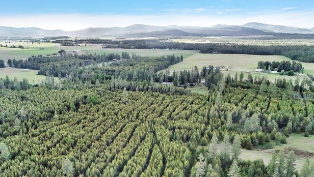 2111 W Mason Rd, Deer Park, WA 99006 - bird's eye view of a mountainous background and a heavily wooded area