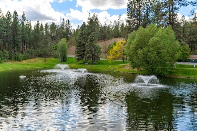 7203 S Tangle Heights Dr, Spokane, WA 99224 - water view