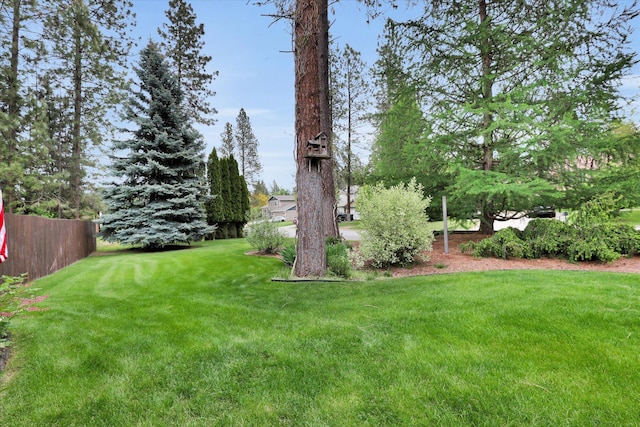 15711 N Unicorn Ct, Mead, WA 99021 - view of yard