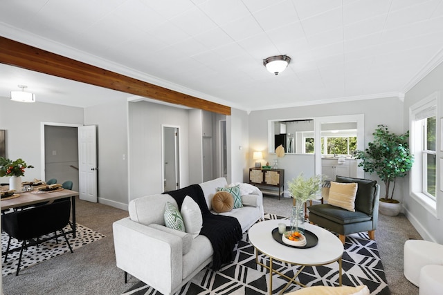 2526 E 8th Ave, Spokane, WA 99202 - living area with carpet, ornamental molding, and baseboards