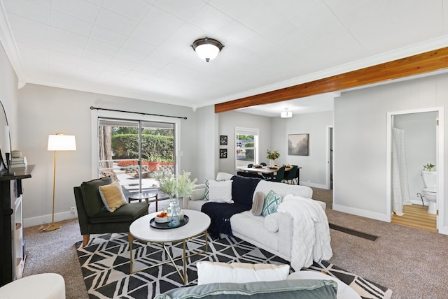 2526 E 8th Ave, Spokane, WA 99202 - living room featuring carpet, baseboards, and ornamental molding