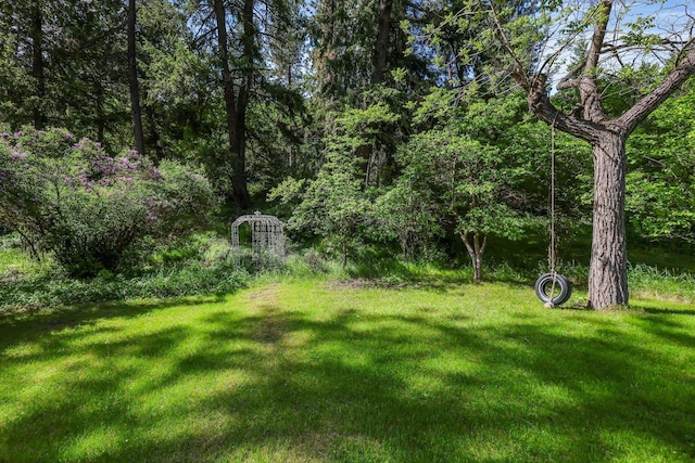 2526 E 8th Ave, Spokane, WA 99202 - view of green lawn