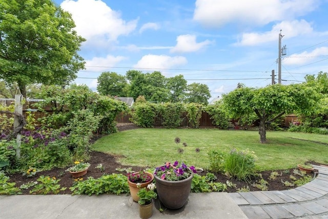 536 E 1st Ave, Colville, WA 99114 - view of yard