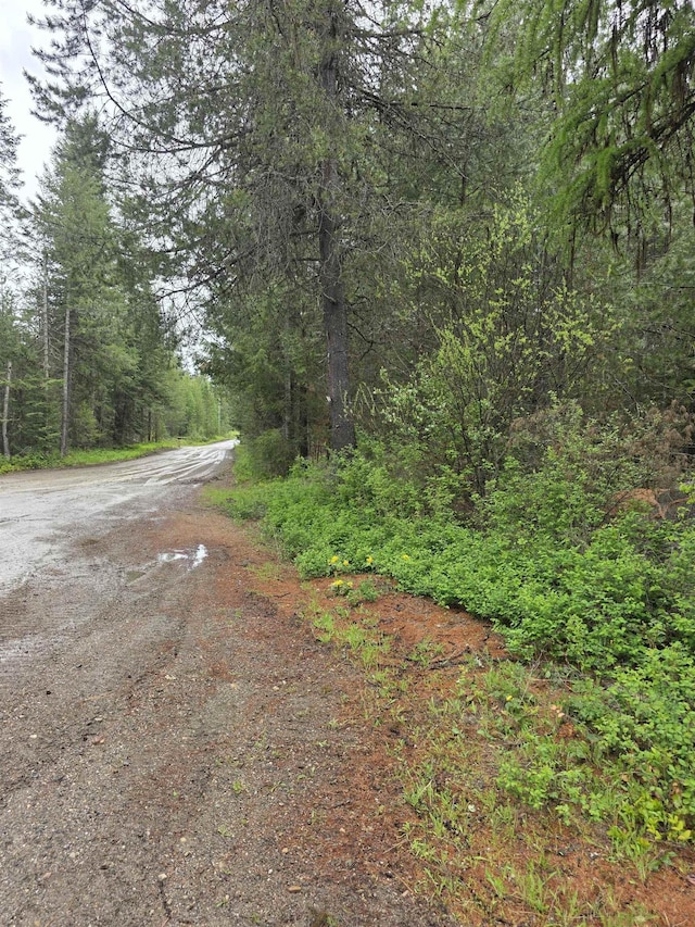 NNA Carpenter Dr, Newport, WA 99156