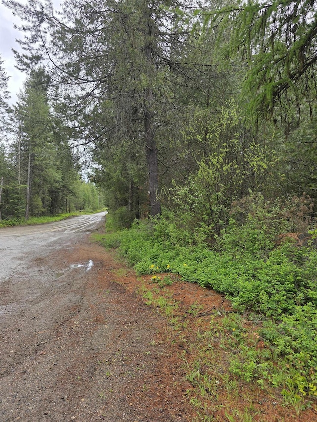 NNA Carpenter Dr, Newport, WA 99156