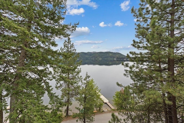 3947 N Deer Lake Rd, Loon Lake, WA 99148 - water view