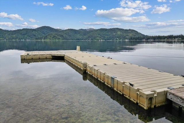3947 N Deer Lake Rd, Loon Lake, WA 99148 - dock with a water and mountain view and a view of trees