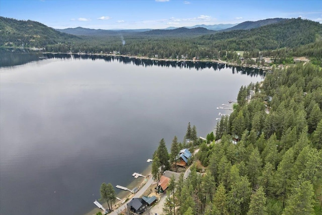 3947 N Deer Lake Rd, Loon Lake, WA 99148 - bird's eye view of a forest and a water and mountain view