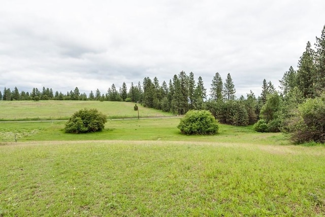 10409 E Palouse Hwy, Valleyford, WA 99036 - view of green lawn