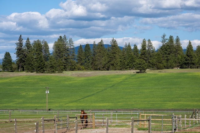10409 E Palouse Hwy, Valleyford, WA 99036 - view of home's community with a view of rural / pastoral area