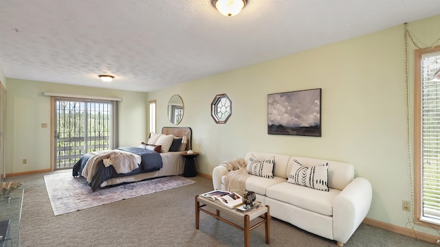 13110 W Charles Rd, Nine Mile Falls, WA 99026 - bedroom featuring carpet floors, baseboards, access to outside, and a textured ceiling
