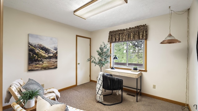 13110 W Charles Rd, Nine Mile Falls, WA 99026 - carpeted home office with baseboards and a textured ceiling