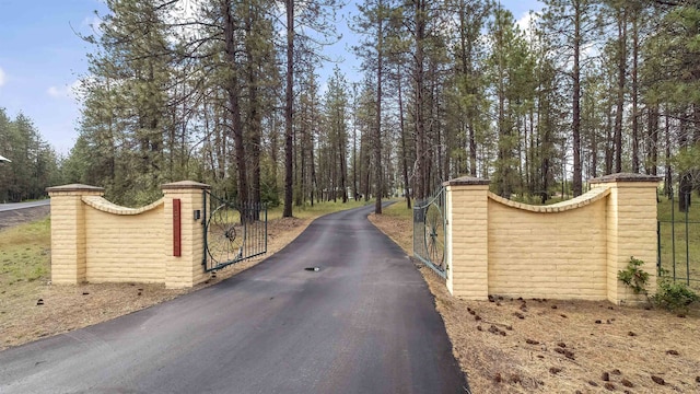 13110 W Charles Rd, Nine Mile Falls, WA 99026 - view of asphalt driveway with a gate and a gated entry
