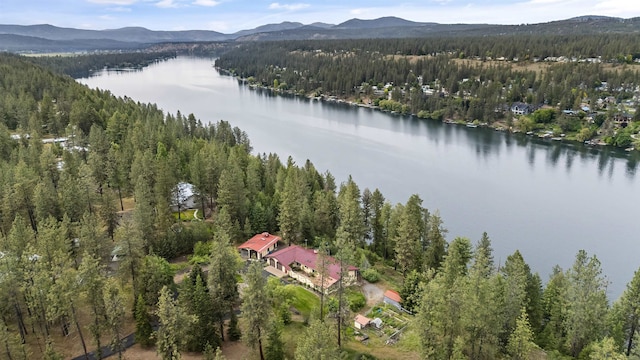 13110 W Charles Rd, Nine Mile Falls, WA 99026 - view of property location with a forest and a water and mountain view