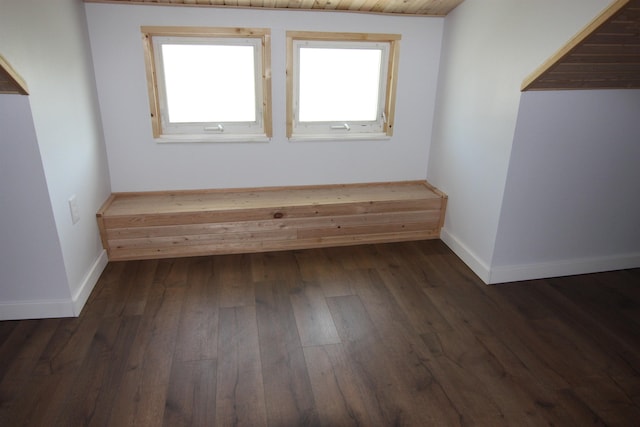 117 5th Ave, Cusick, WA 99119 - additional living space featuring dark wood-type flooring and baseboards