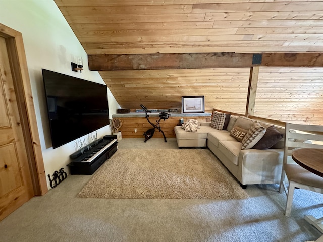 812 Levitch Rd, Newport, WA 99156 - carpeted living area with wooden ceiling and lofted ceiling