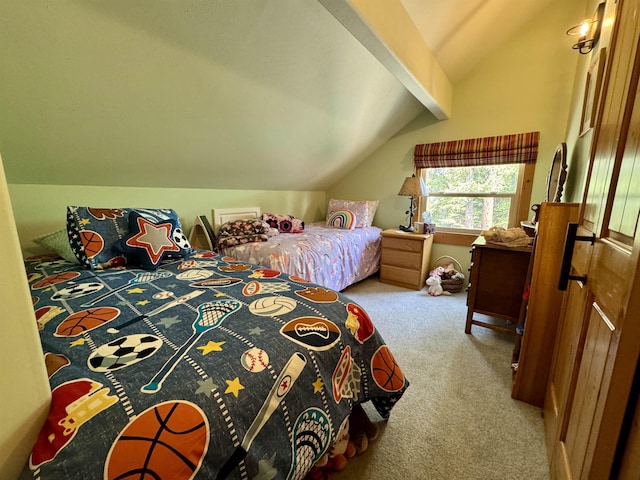 812 Levitch Rd, Newport, WA 99156 - carpeted bedroom with vaulted ceiling
