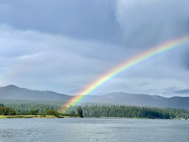 812 Levitch Rd, Newport, WA 99156 - water view with a mountainous background and a heavily wooded area