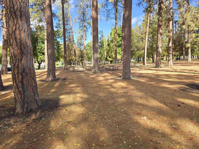 405 S Coeur Dalene St Unit 11, Spokane, WA 99201 - view of yard with view of scattered trees