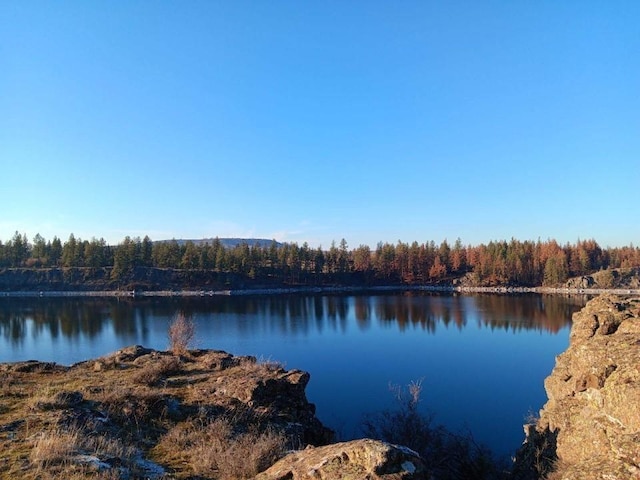 20005 W Chandler Ave, Medical Lake, WA 99022 - photo 2